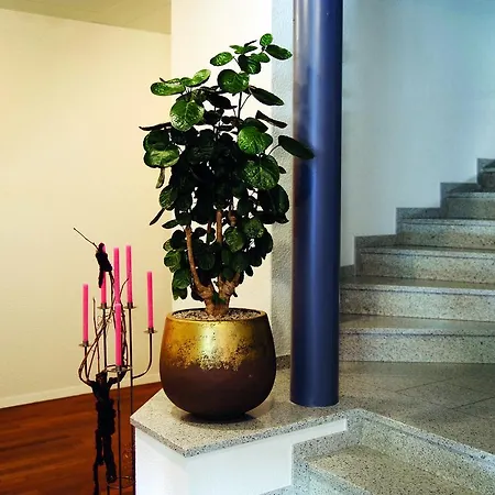 Garni Casa de hóspedes Arnegg